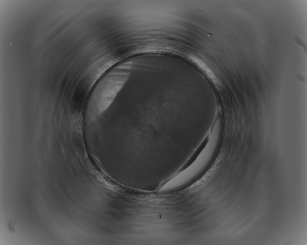 X0000091511329200709070944