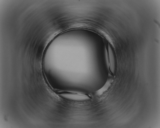 X0000091511330200709070944