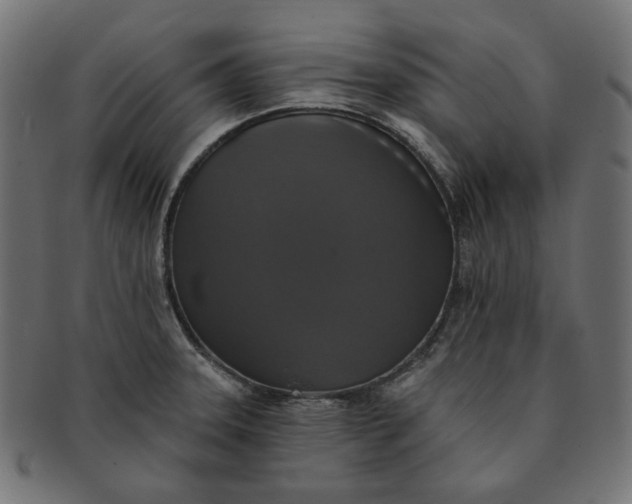 X0000091511331200709070944