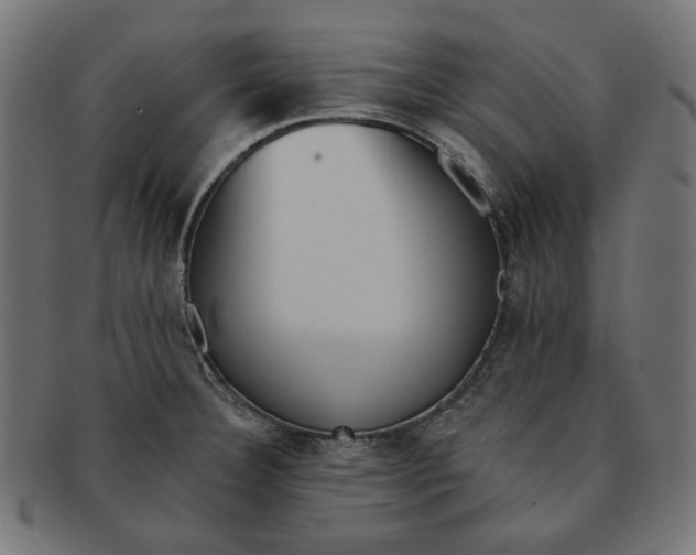 X0000091511332200709070944