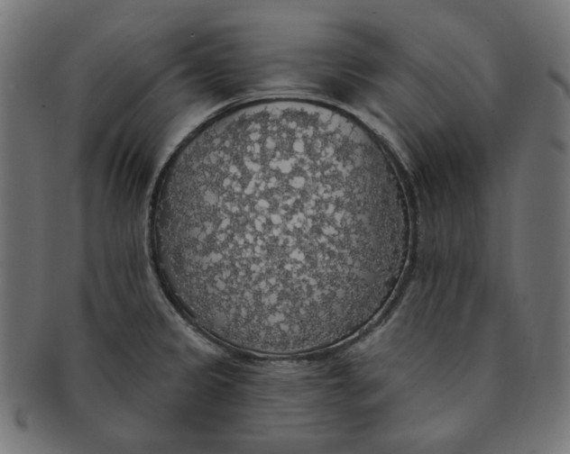 X0000091511333200709070944