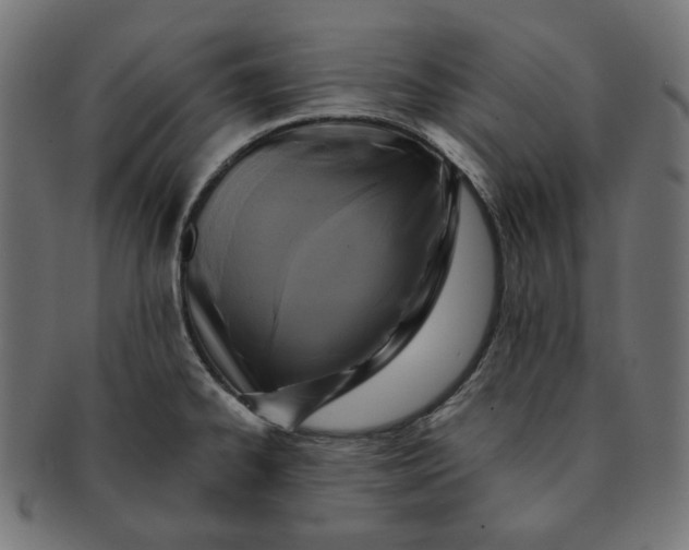 X0000091511334200709070944