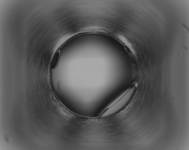 X0000091511336200709070944