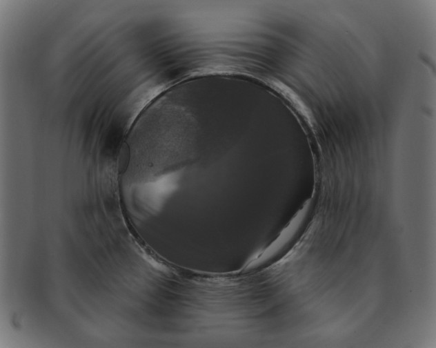 X0000091511337200709070944