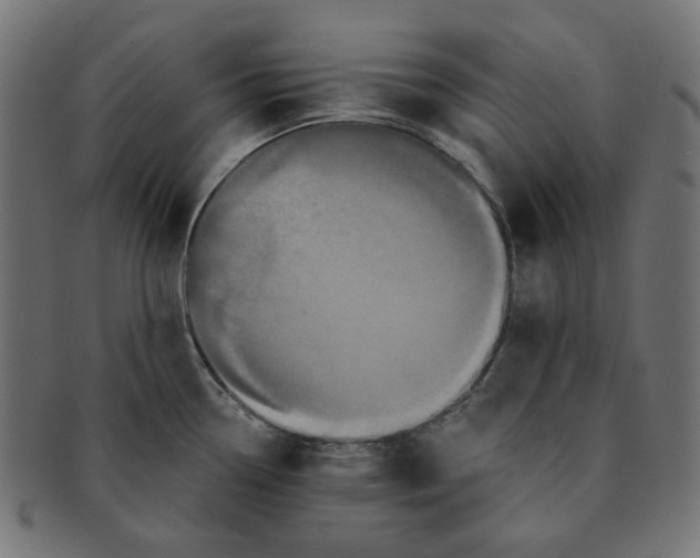 X0000091511338200709070944