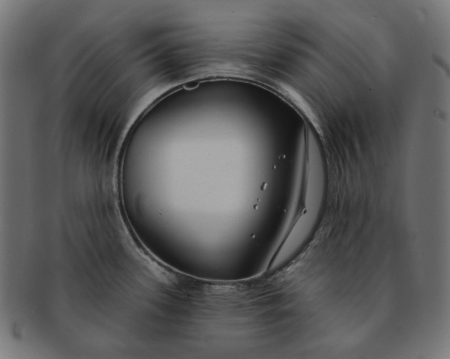 X0000091511339200709070944