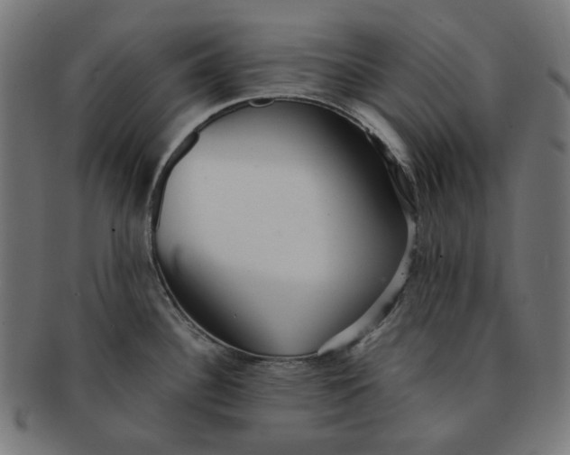 X0000091511340200709070944