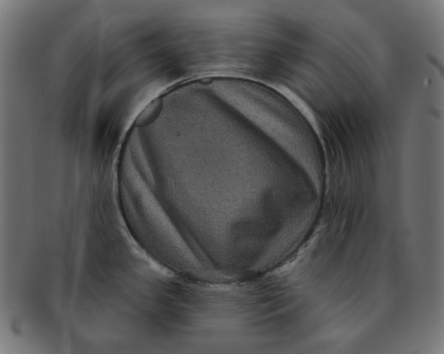 X0000091511341200709070944