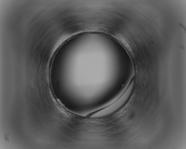 X0000091511342200709070945