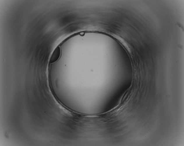 X0000091511343200709070945