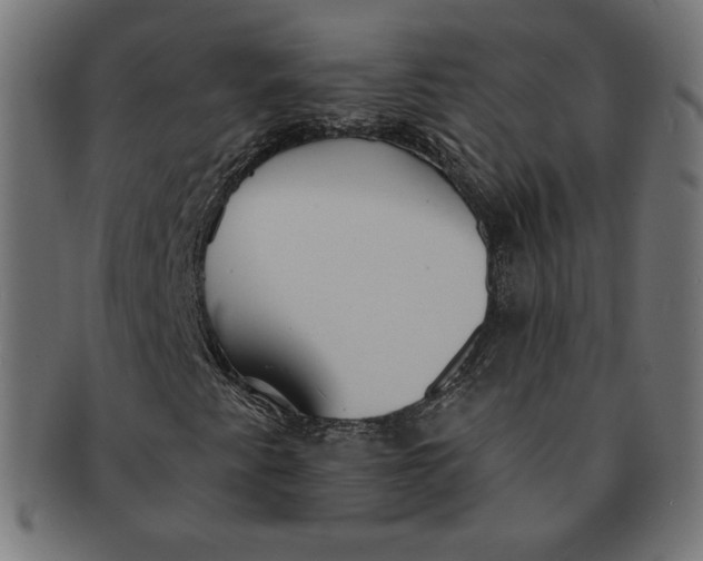 X0000091511345200709070944