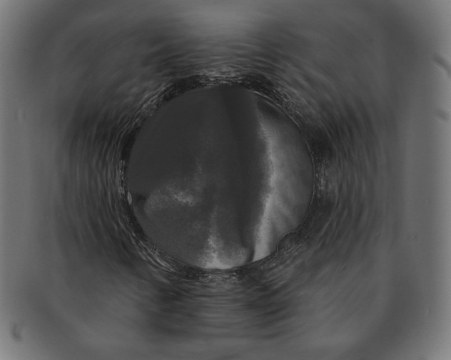 X0000091511346200709070944