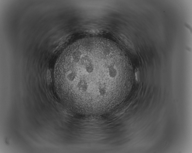 X0000091511347200709070944