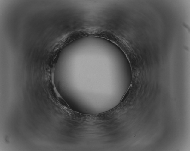 X0000091511349200709070944