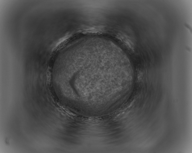 X0000091511350200709070944