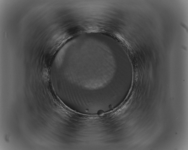 X0000091511353200709070944