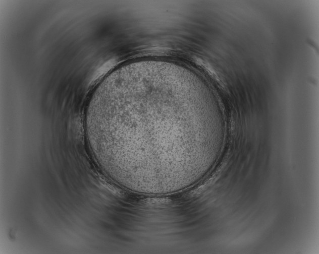 X0000091511354200709070944