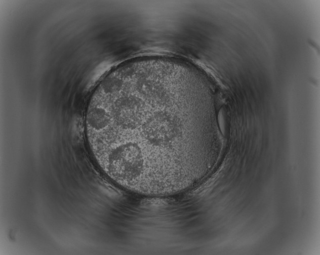 X0000091511355200709070944