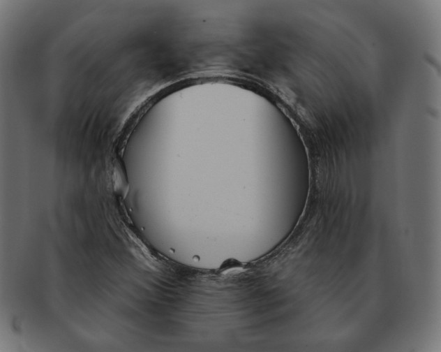 X0000091511356200709070944