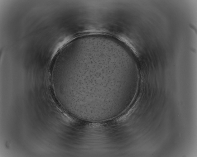 X0000091511357200709070944