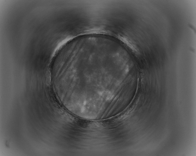 X0000091511358200709070944