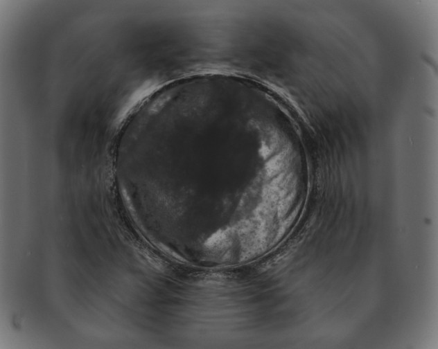 X0000091511359200709070944