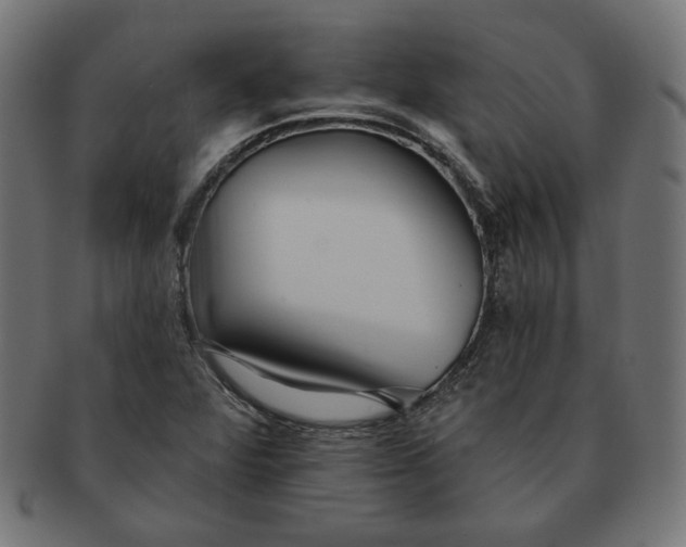 X0000091511360200709070944