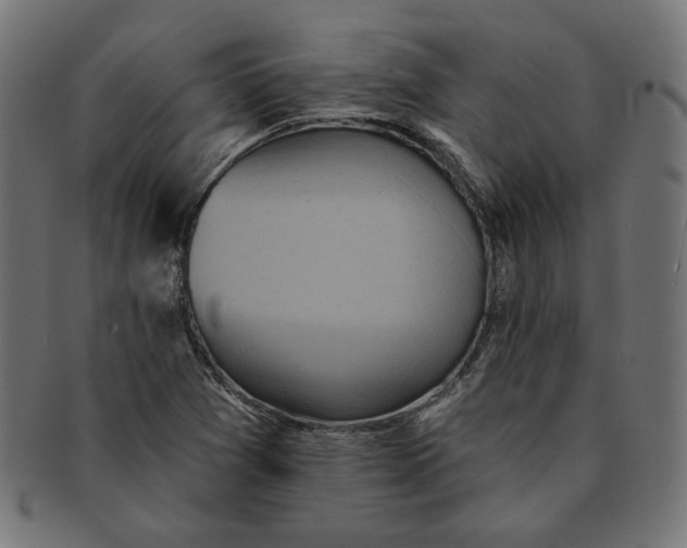 X0000091511361200709070944