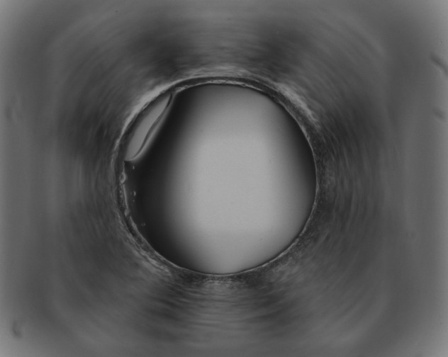 X0000091511364200709070944