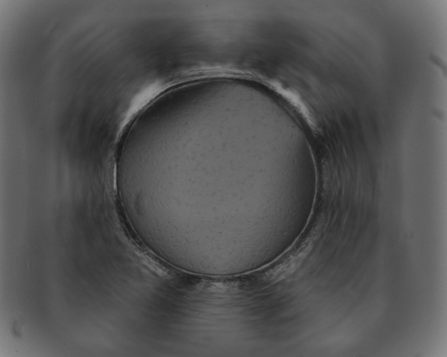 X0000091511365200709070944