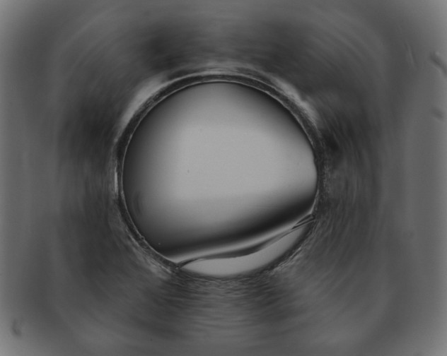 X0000091511368200709070944