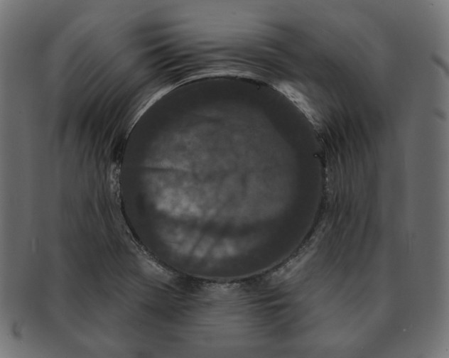 X0000091511369200709070944