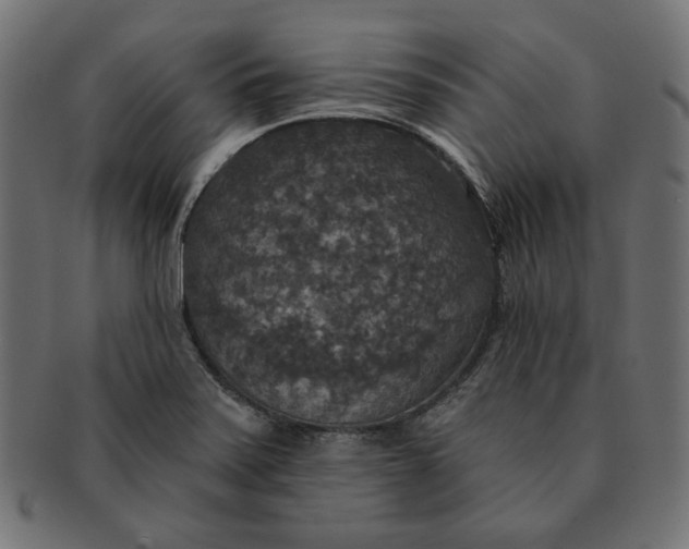 X0000091511371200709070944