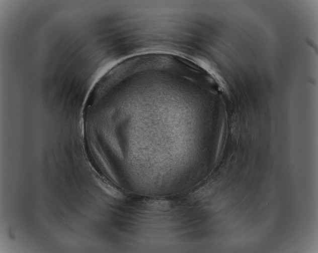 X0000091511372200709070944