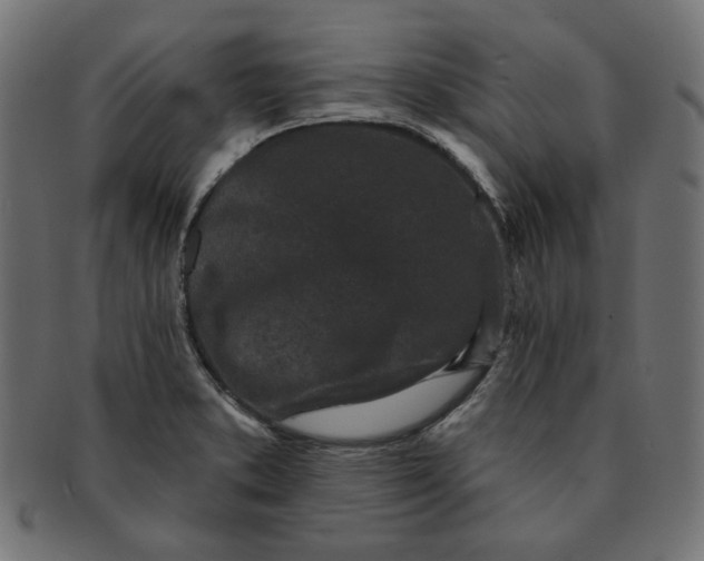 X0000091511373200709070944