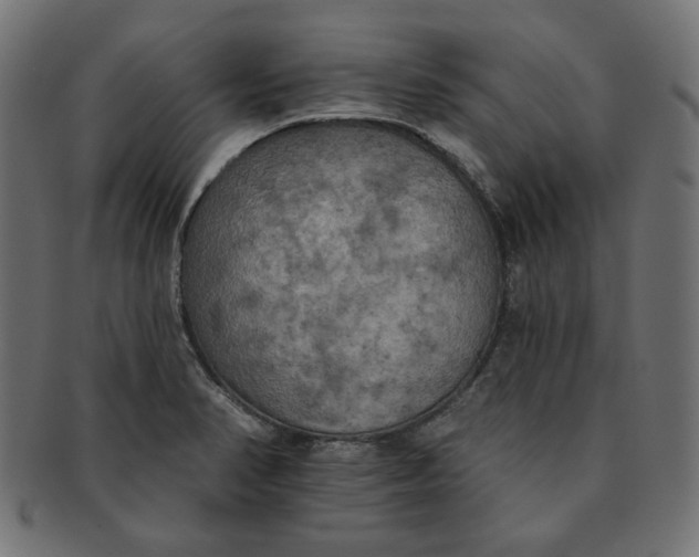 X0000091511374200709070943