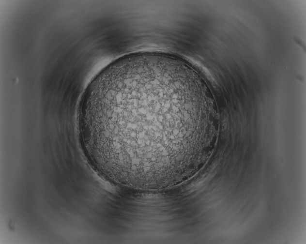 X0000091511375200709070943