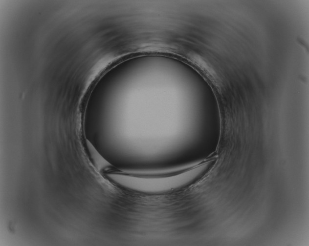 X0000091511376200709070943