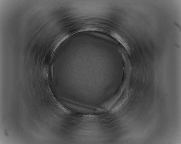 X0000091511377200709070943