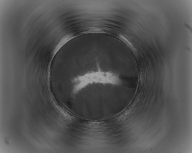 X0000091511378200709070943