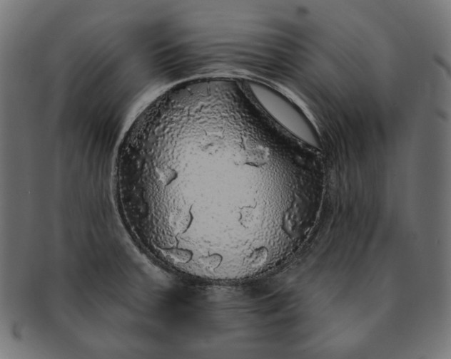 X0000091511379200709070943