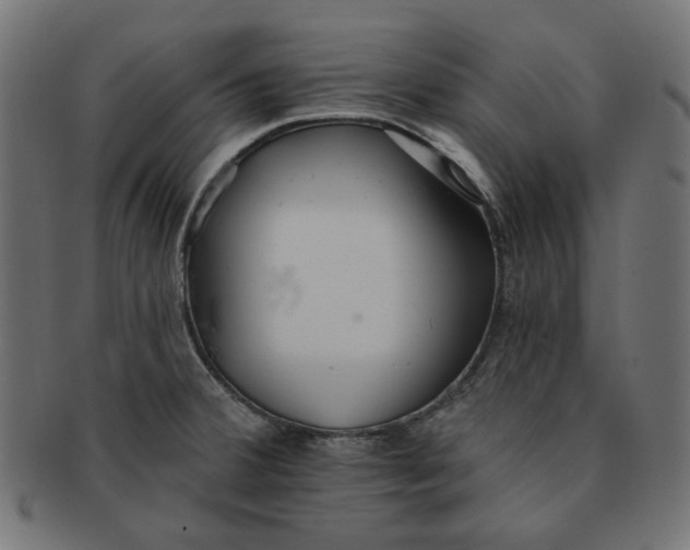 X0000091511380200709070943