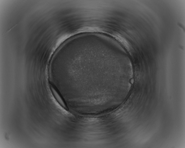 X0000091511382200709070943