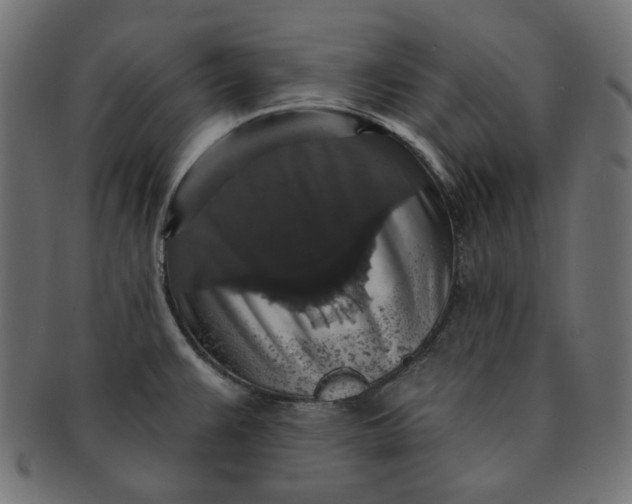 X0000091511383200709070943