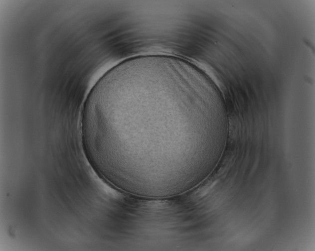 X0000091511387200709070943