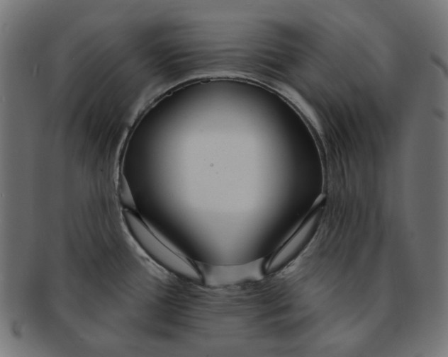 X0000091511388200709070943