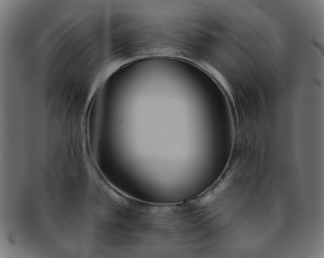 X0000091511389200709070943