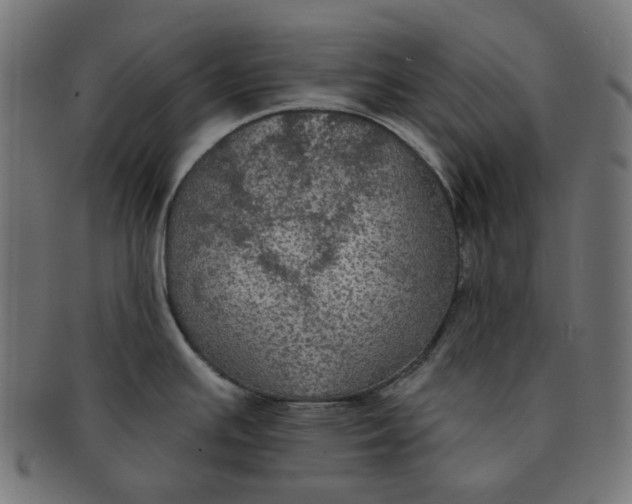 X0000091511391200709070943