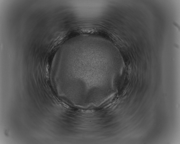 X0000091511394200709070943