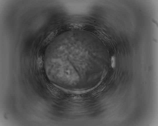 X0000091511395200709070943